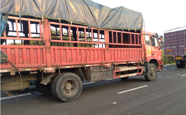 郫都物流公司運輸（shū）車